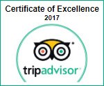 Trip Advisor Trip Advisor